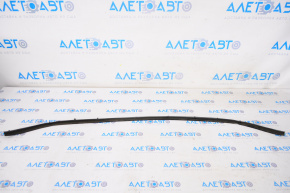 Hood seal on the hood of a Lexus IS 14-20