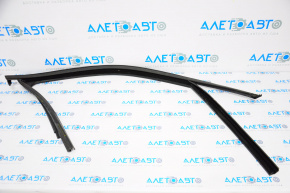 Glass seal front right VW Atlas 18-18