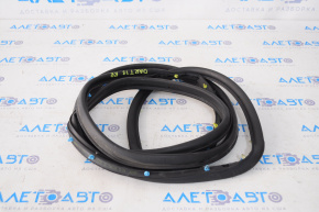 Dodge Dart 13-16 rear right door seal