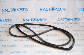 Toyota Prius V 12-17 rear right door seal