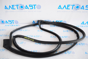 Front left door seal Nissan Sentra 13-19