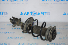Shock absorber front left Nissan Sentra 13-19 1.8