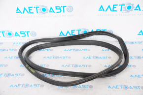Door seal front left Mini Cooper Countryman R60 10-16