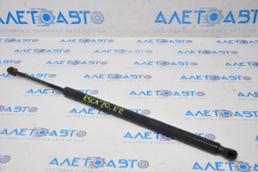 Trunk Door Shock Absorber Right Ford Escape MK4 20-24