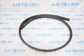 Hood seal front Mitsubishi Eclipse Cross 18-20