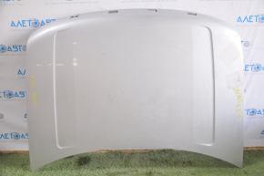Naked hood Ford Flex 09-19 silver UX
