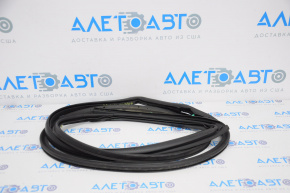 Door Seal Rear Right Dodge Charger 11-23