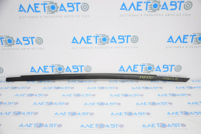 Molding door-glass central front left Dodge Charger 11-23 tear