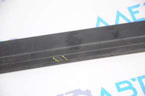 Molding door-glass central front left Dodge Charger 11-23 tear