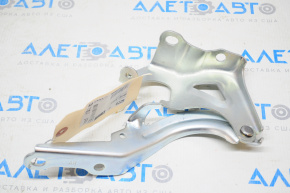 Hood hinge right Toyota Avalon 13-18