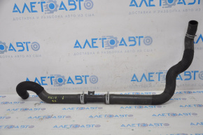Cooling pipe lower Nissan Maxima A36 16-23