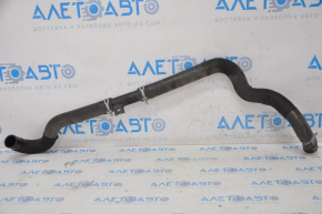 Cooling pipe lower Nissan Maxima A36 16-23