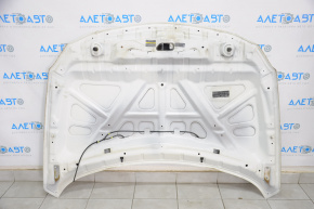 Hood bare Nissan Maxima A36 16-23 white QAB