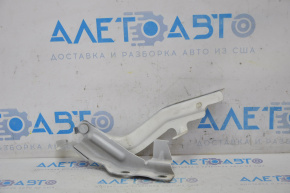 Hood hinge right Nissan Maxima A36 16-23