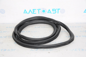 Door seal rear left Chevrolet Equinox 10-17