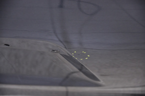 Naked trunk door Toyota Sequoia 08-16 under spoiler, under electro graphite 1F9, butt