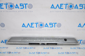 Trunk door molding Toyota Sequoia 08-19 chrome