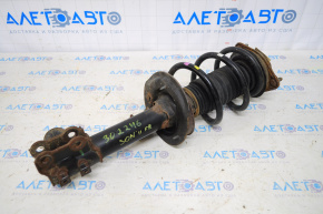 Shock absorber strut assembly front right Hyundai Sonata 11-14 type 2, rusty