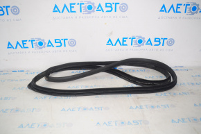 Rear left door seal for Hyundai Sonata 15-19