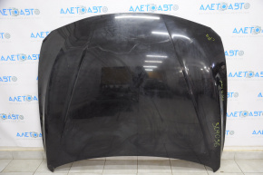 Hood bare BMW 3 F30 12-18 black 668, pokes