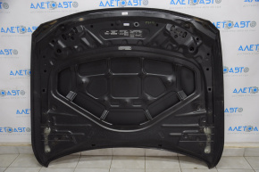 Hood bare BMW 3 F30 12-18 black 668, pokes