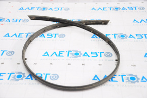 Hood seal on bumper Kia Forte 4d 17-18 rest