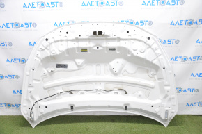 Hood bare Nissan Sentra 16-19 rest white QM1, butt