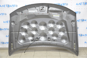 Hood bare Dodge Journey 11-20 graphite PAJ, bumps, paint swelled