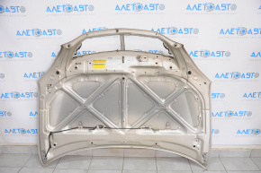 Hood bare Lexus RX300 RX330 RX350 RX400h 04-09 gold 4R4, rust