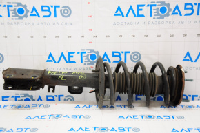 Shock absorber strut assembly front left Ford Explorer 16-19 3.7 awd