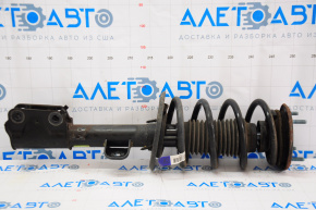 Shock absorber strut assembly front left Ford Explorer 16-19 3.7 awd