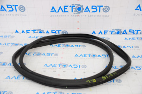 Door seal rear left Mazda 3 14-18 BM
