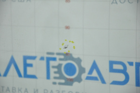 Windshield Hyundai Sonata 15-19 chip