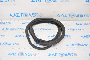 Nissan Sentra 20-24 Trunk Lid Seal