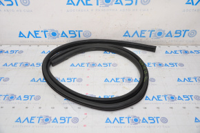Door seal rear left Nissan Sentra 20-24