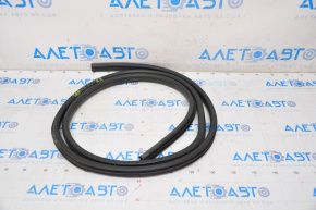 Door seal rear right Nissan Sentra 20-24
