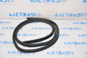Door seal front left Nissan Sentra 20-24