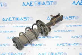 Shock absorber strut assembly front right Chevrolet Cruze 11-16 rusty