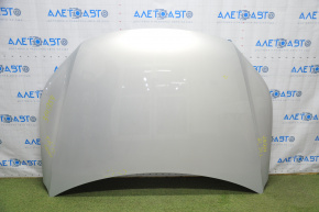 Bonnet naked VW Tiguan 09-18 silver LR7L pokes