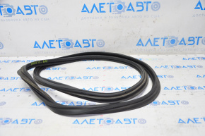 Chevrolet Cruze 11-16 Trunk Lid Seal
