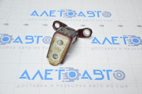 Door hinge lower rear right Acura TLX 15-