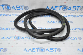 Door seal rear right Acura TLX 15-