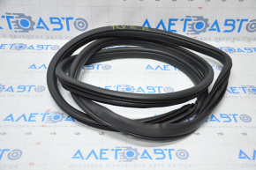 Door Seal Front Left Acura TLX 15-