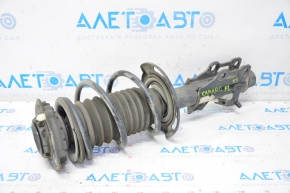 Shock absorber strut assembly front left Chevrolet Camaro 16-23 SS