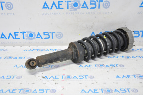 Shock absorber strut assembly rear left Audi Q7 4L 10-15