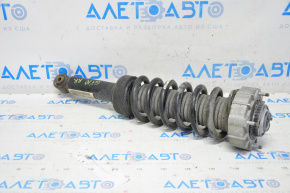 Shock absorber strut assembly rear right Audi Q7 4L 10-15