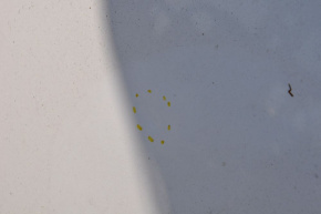 Roof metal Kia Optima 11-16 without sunroof, small butt, sawed off