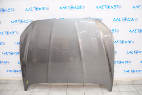 Hood bare Ford Fusion mk5 13-20 graphite UJ, butt