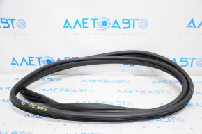 Door seal front left Hyundai Sonata 20-22
