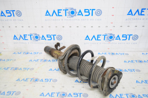 Shock absorber strut assembly front left Ford Escape MK3 13-13 oblique cup, spring brown, rusty